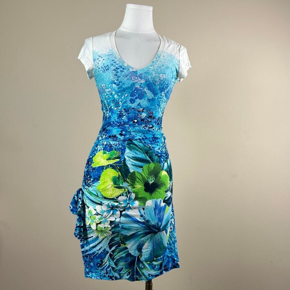 Absolutely Insane NWT Frutiger Aero Cache Dress